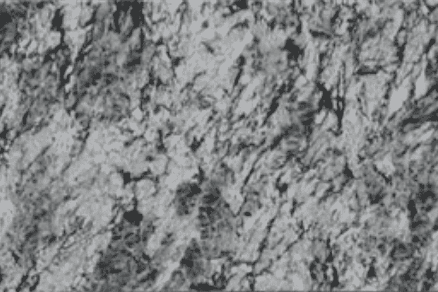 BCS-Blue Thoria Asian Granite Slab