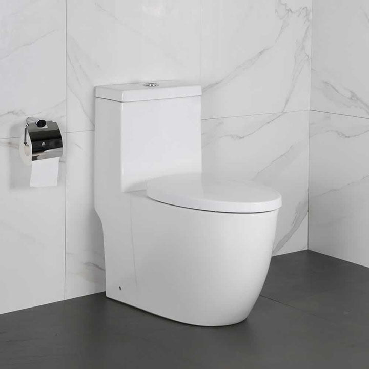 Casimir one-piece dual-flush toilet in vitreous china