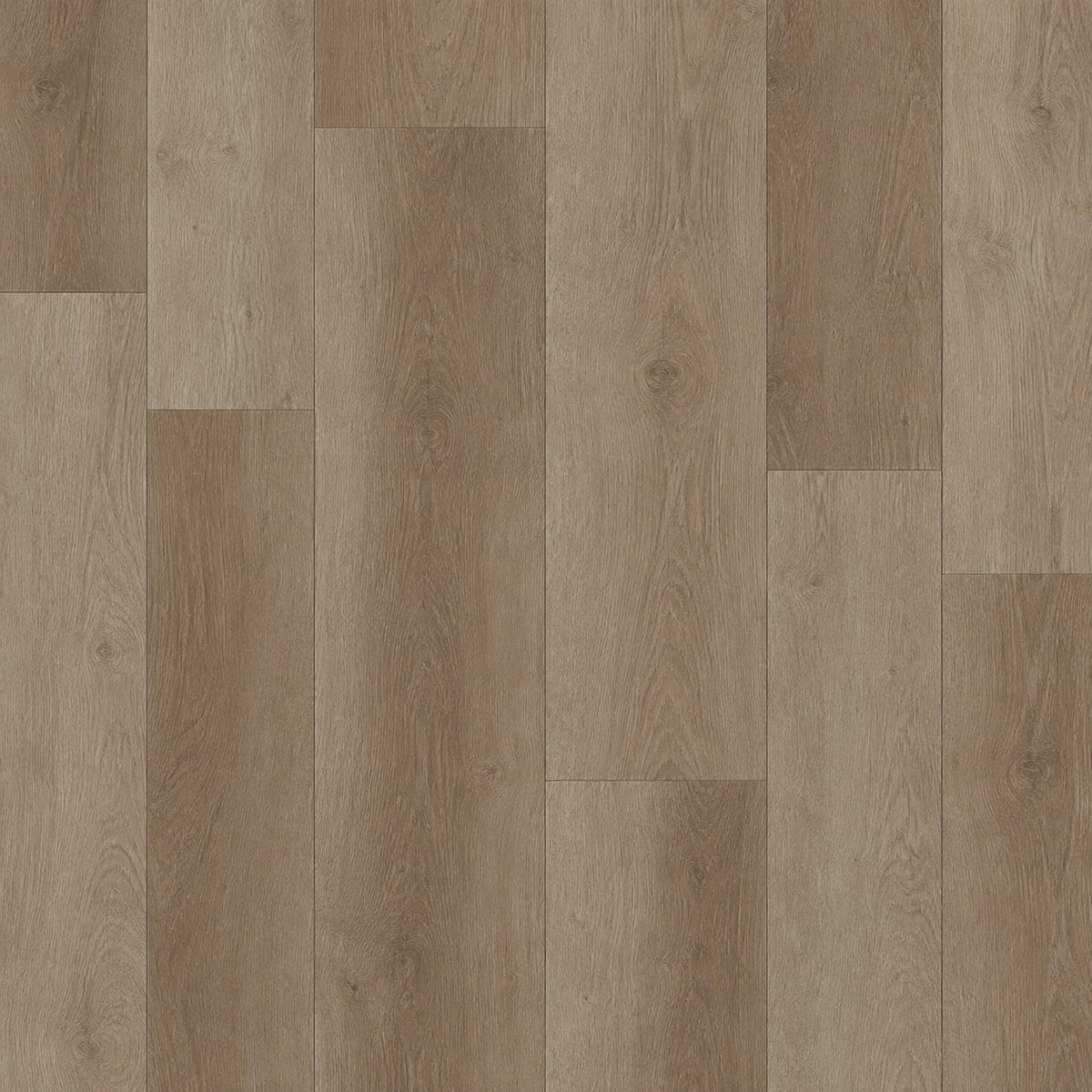 Central Beech Waterproof SPC Flooring plank texture, top-down view