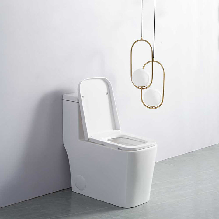 Clarence one-piece dual-flush toilet in vitreous china