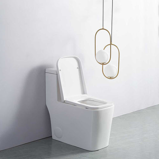 Clarence one-piece dual-flush toilet in vitreous china