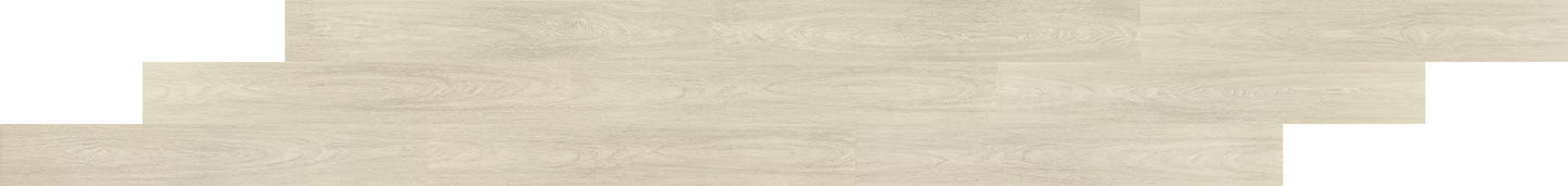 Pines Terrace Birch LVP Glue Down Flooring