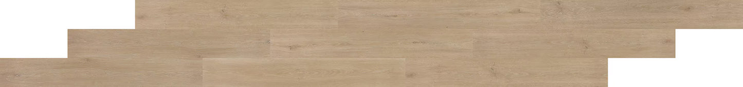 Pines Terrace Sugar LVP Glue Down Flooring