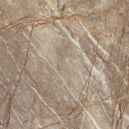 ES-Atlas Plan PorcelainTop™ Natural Roots Matte Italian Porcelain Slab