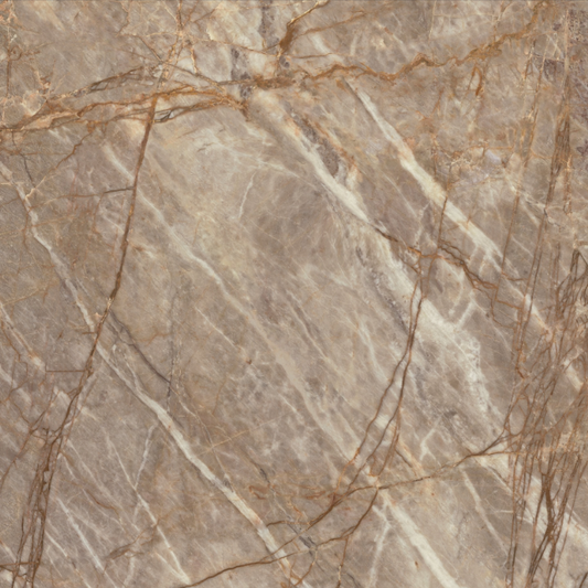 ES-Atlas Plan PorcelainTop™ Natural Roots Matte Italian Porcelain Slab
