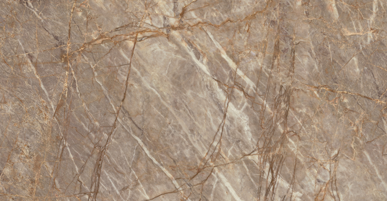 ES-Atlas Plan PorcelainTop™ Natural Roots Matte Italian Porcelain Slab
