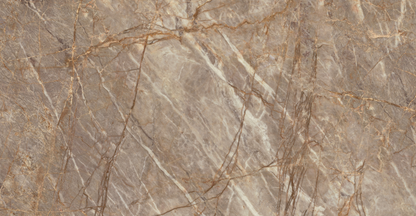 ES-Atlas Plan PorcelainTop™ Natural Roots Matte Italian Porcelain Slab