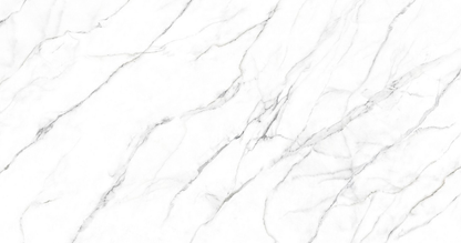 Statuario Altissimo Porcelain Shower Wall Panel