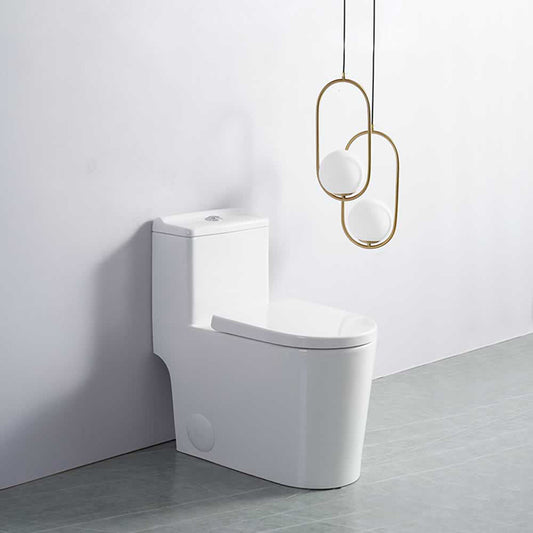 Fionn one-piece dual-flush toilet