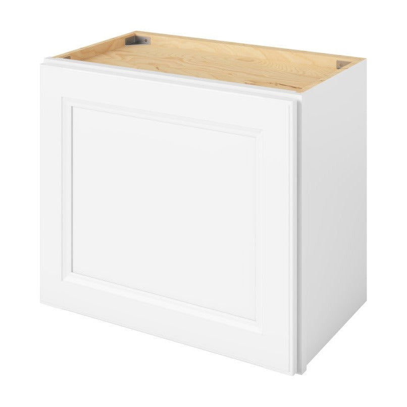 21"W x 18"H Wall Cabinet with Single Door in Maui Polar White