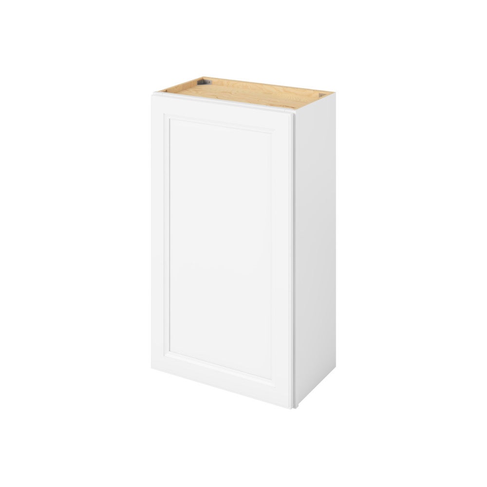 21"W x 36"H Wall Cabinet with Single Door and Two Shelves in Maui Polar White