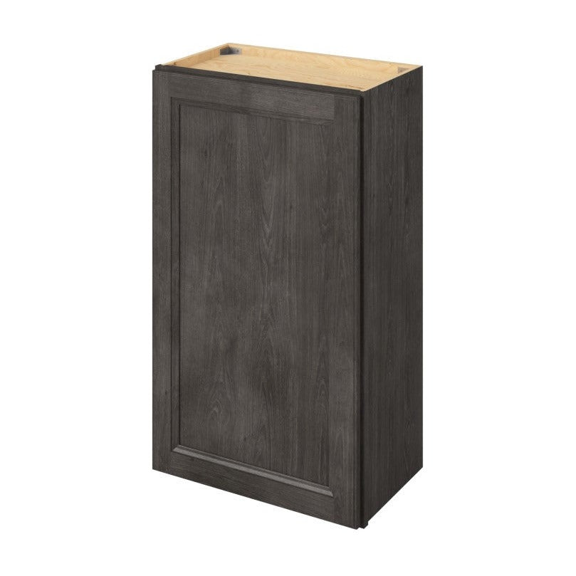 21"W x 36"H Wall Cabinet with Single Door and Two Shelves in Maui Slate