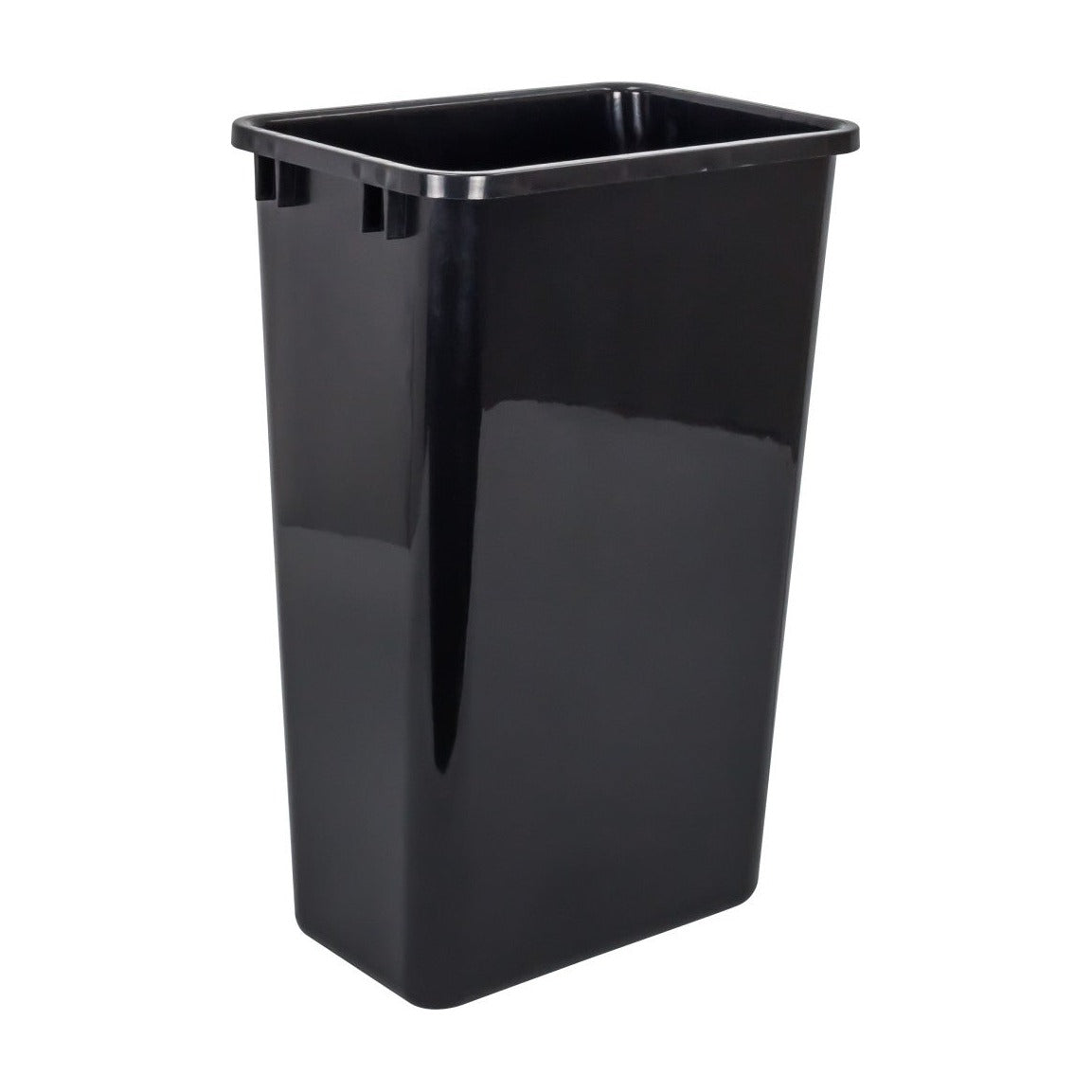 Thaddea 50 Quart Plastic Waste Container in Black