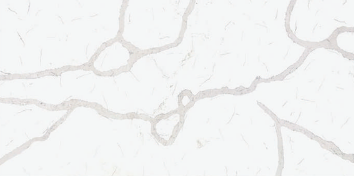 HC-Calacatta Quartz Slab
