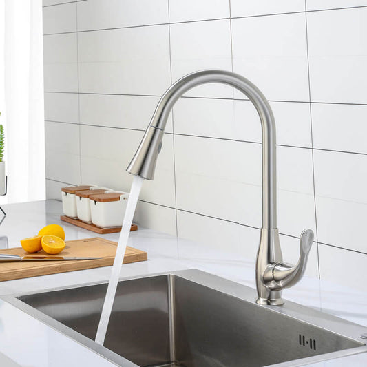 Adrian Kitchen Faucet with pull out spray