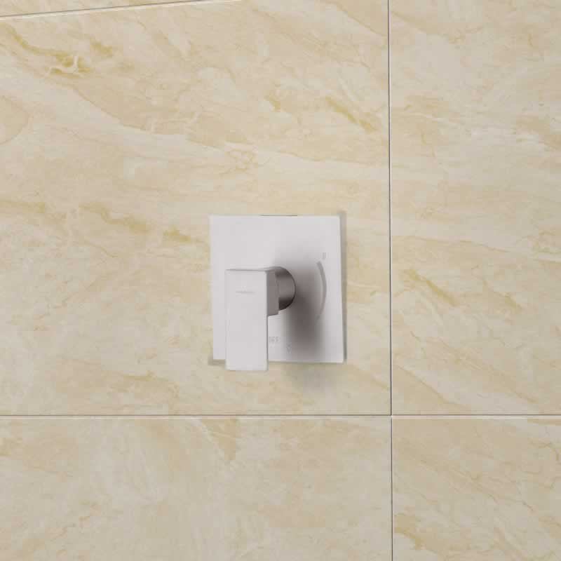 Benjamin Shower Faucet