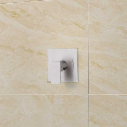 Benjamin Shower Faucet