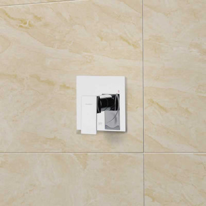 Benjamin Shower Faucet