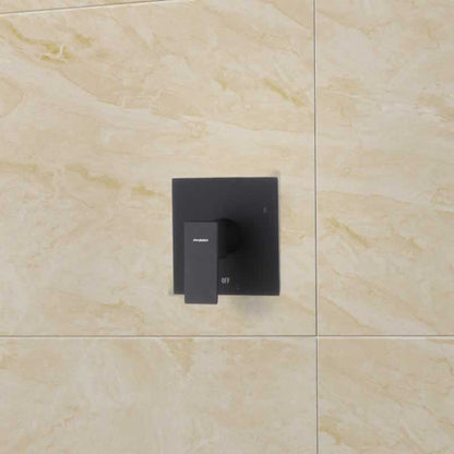 Benjamin Shower Faucet
