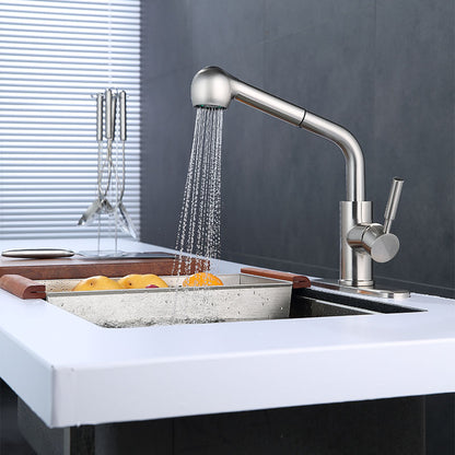 Ellen Kitchen Faucet with pull out spray