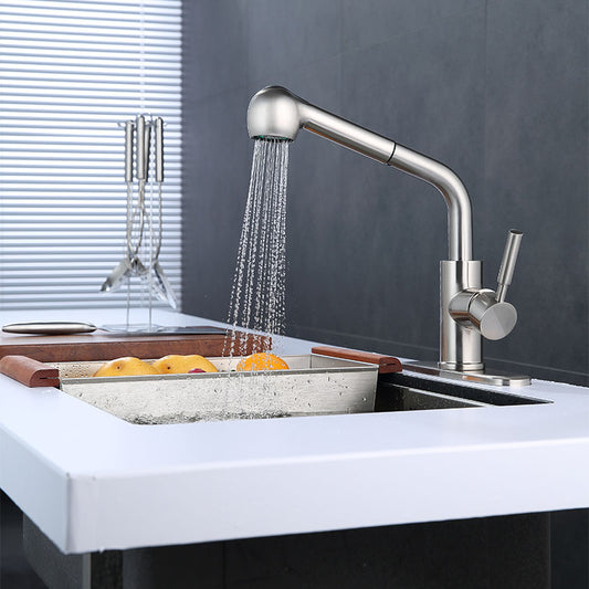 Ellen Kitchen Faucet with pull out spray