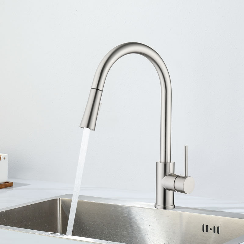 Ingrid Kitchen Faucet with pull out spray