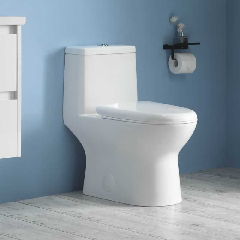 Letitia one-piece dual-flush toilet in vitreous china