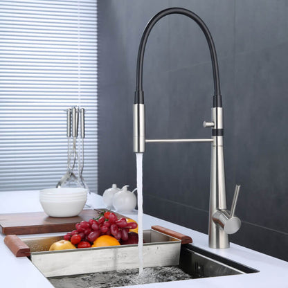 Malte Kitchen Faucet