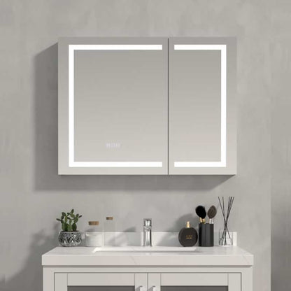 Mordecai LED Mirror Medicine Cabinet