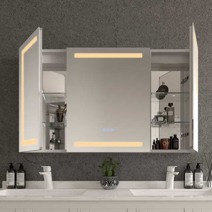 Mordecai LED Mirror Medicine Cabinet