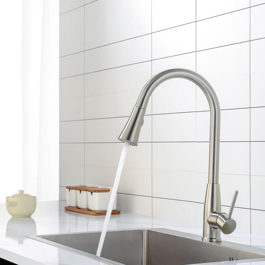 Nelly Kitchen Faucet with pull out spray