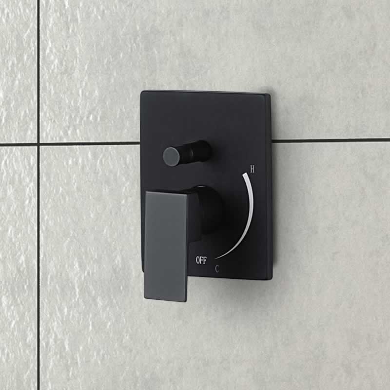 Sebastian Shower Faucet