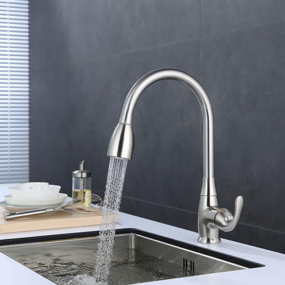 Sigrid Kitchen Faucet with pull out spray
