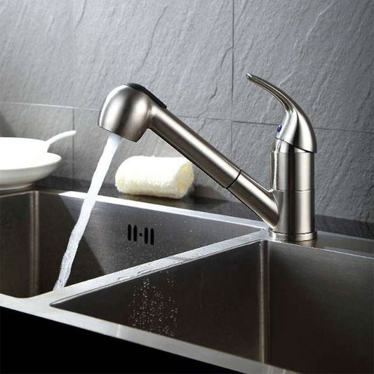 Theodor Kitchen Faucet with pull out spray
