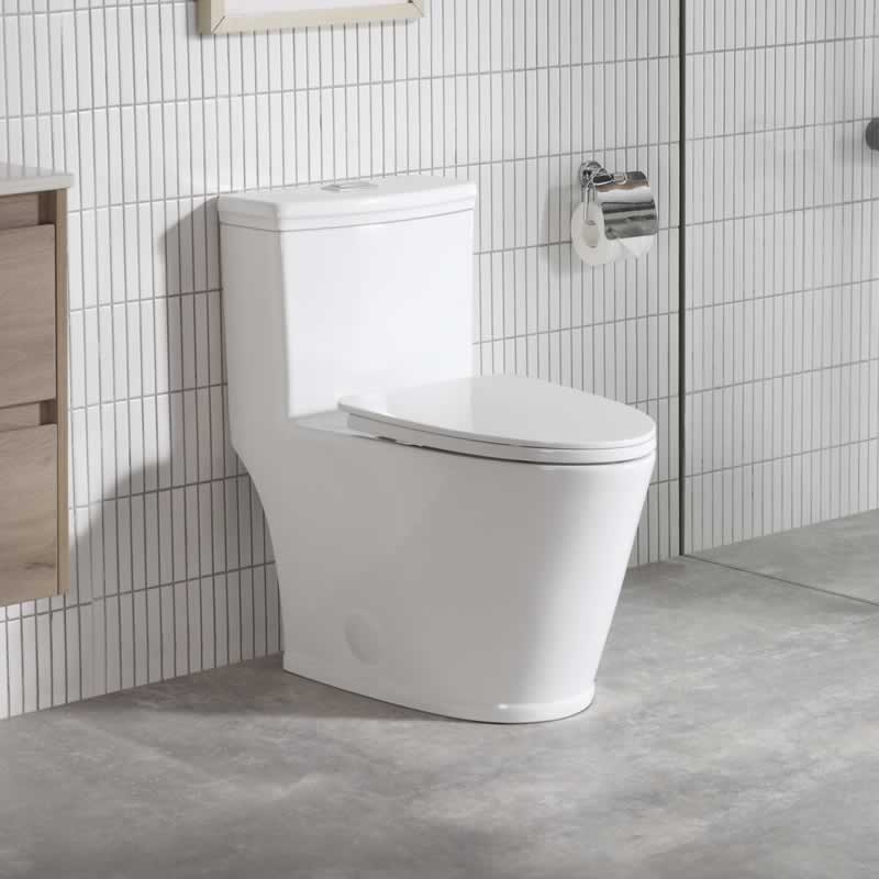 Zebulon one-piece dual-flush toilet in vitreous china
