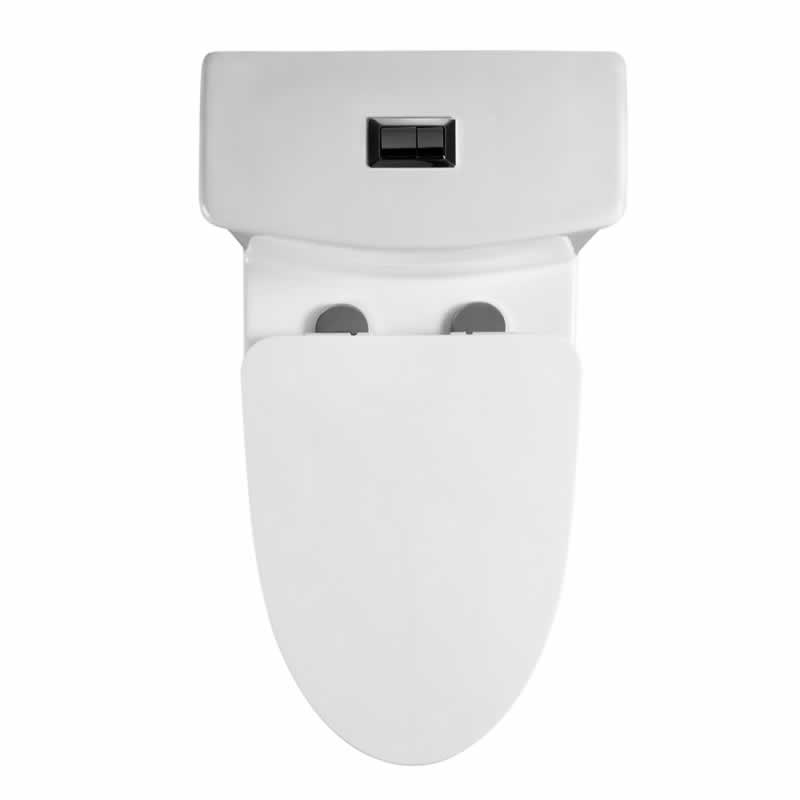 Zebulon One-Piece Dual-Flush Toilet