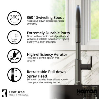 Lagrange Kitchen Faucet