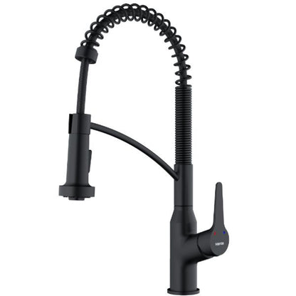 Scottsdale Kitchen Faucet
