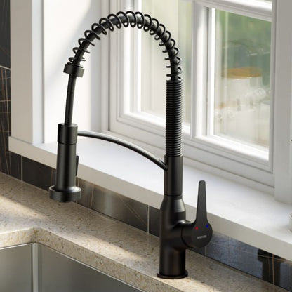 Scottsdale Kitchen Faucet