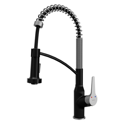 Scottsdale Kitchen Faucet