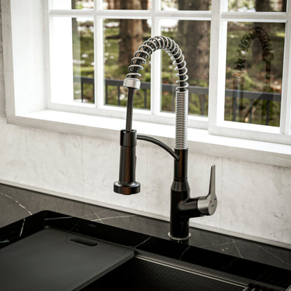 Scottsdale Kitchen Faucet