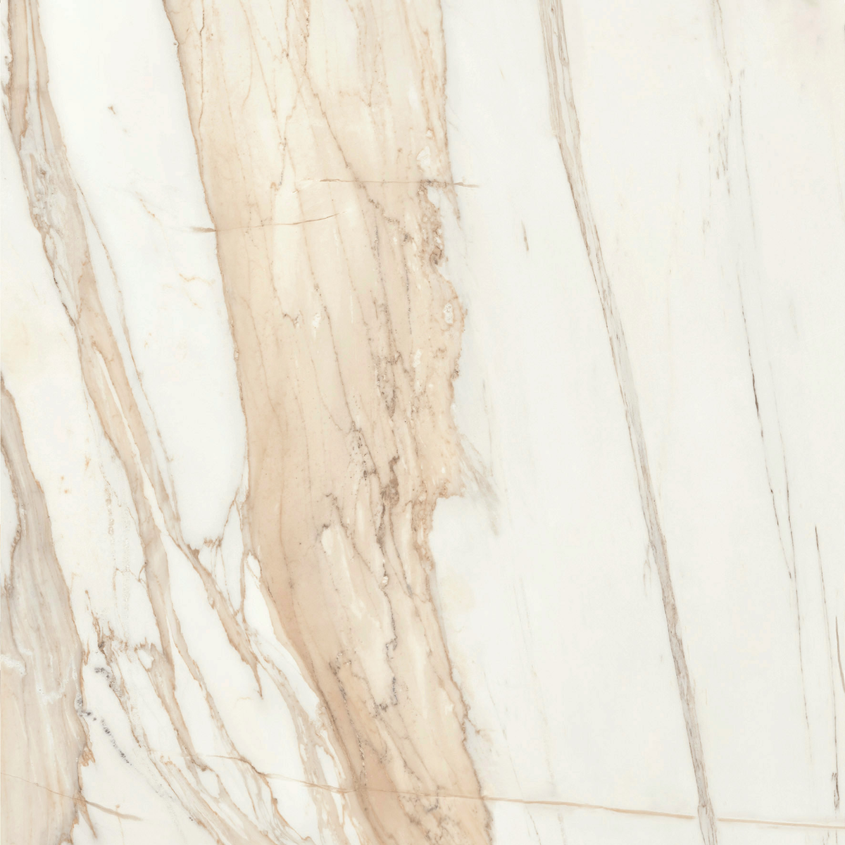 Luxe Bernini high gloss cabinet panel swatch showing the cream marble look with gold veining finish