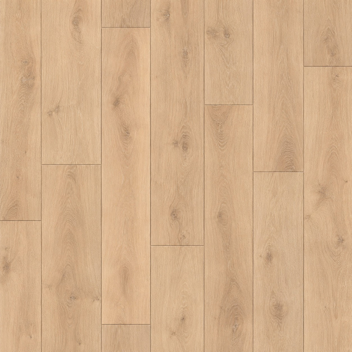 Terra Nova Biscotti Water Resistant Laminate Flooring plank texture, top-down view