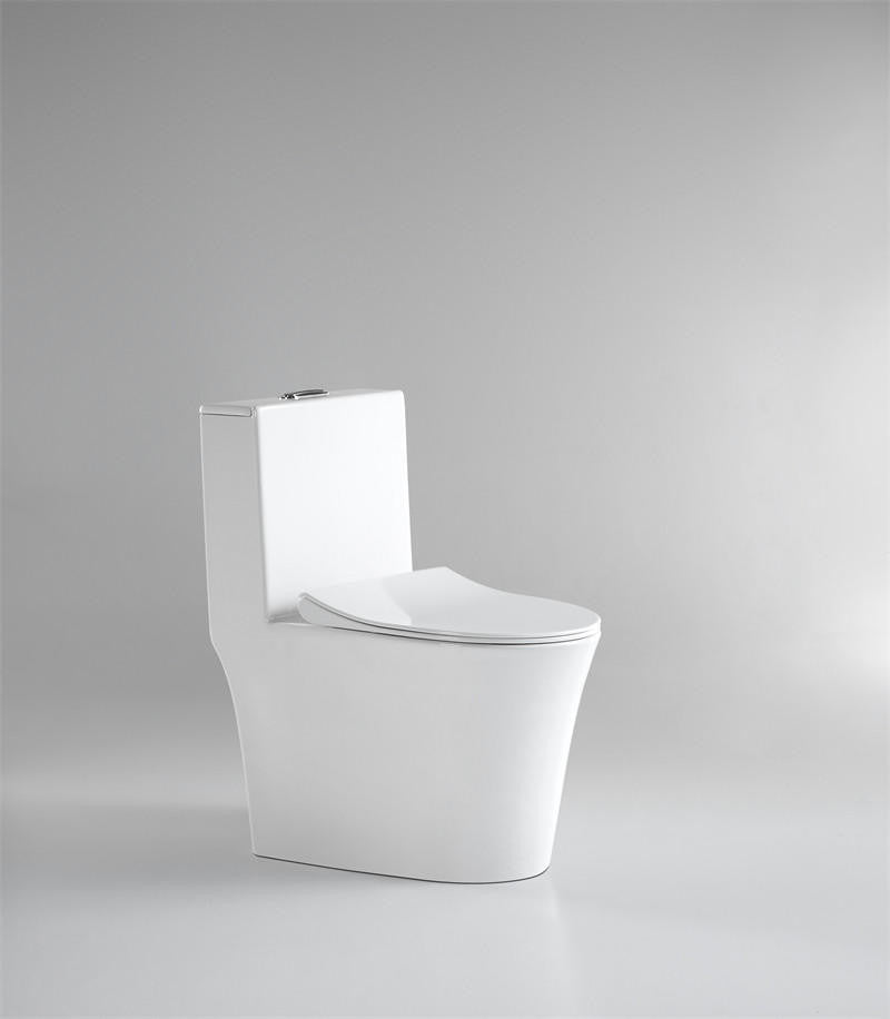 Rowena one-piece elongated dual-flush toilet in white vitreous china