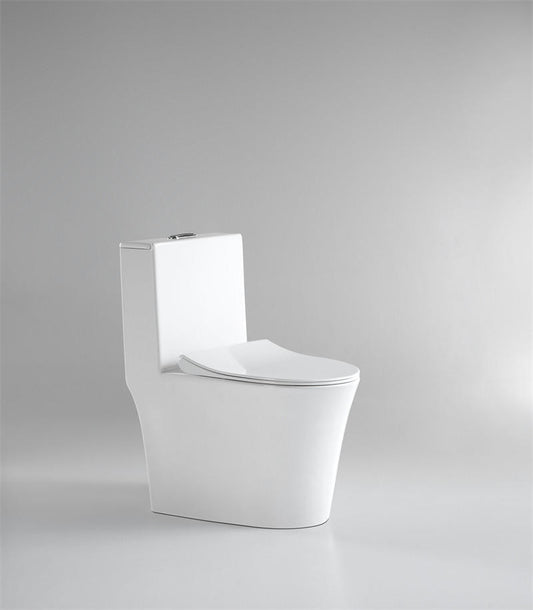 Rowena one-piece elongated dual-flush toilet in white vitreous china