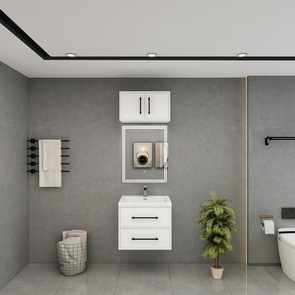 Victoria 24" Wall Mounted Bathroom Vanity with Acrylic Integrated Sink Top