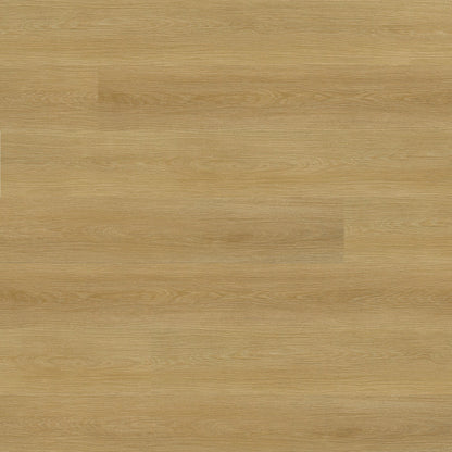 Ashton 2.0 Baystone rigid core SPC vinyl plank flooring, top down plank view