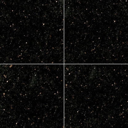 Black Galaxy Granite Tile, 12"x12" Tile in Polished finish