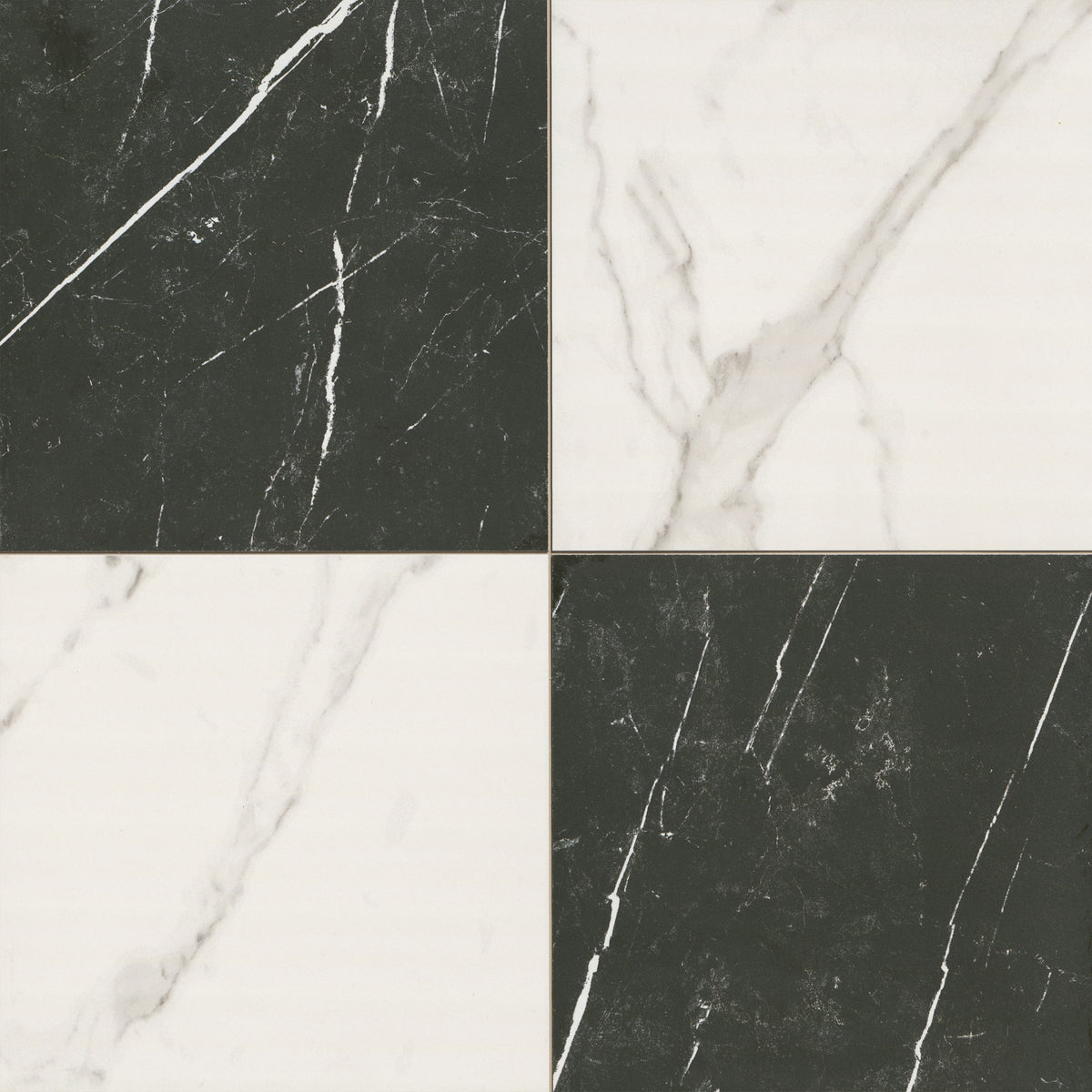 Casa Duet Calacatta Marquina porcelain tile, matte finish, 24 by 24 inch view