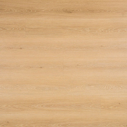 Cyrus 2.0 Valleyview Grove rigid core SPC vinyl plank flooring, top down plank view